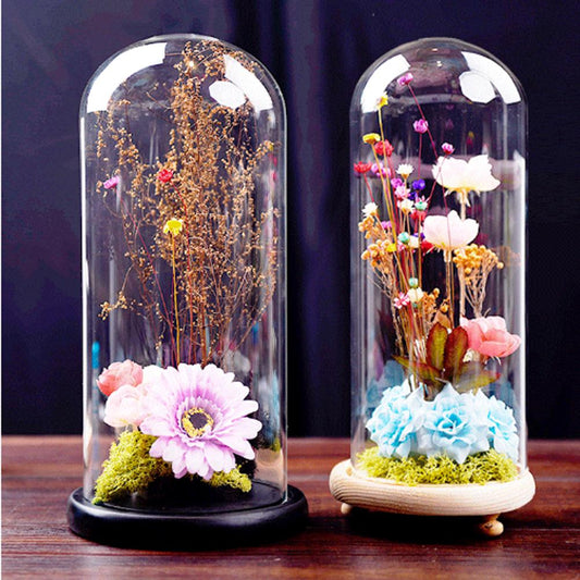 ACEVER_CLOCHE_DOME