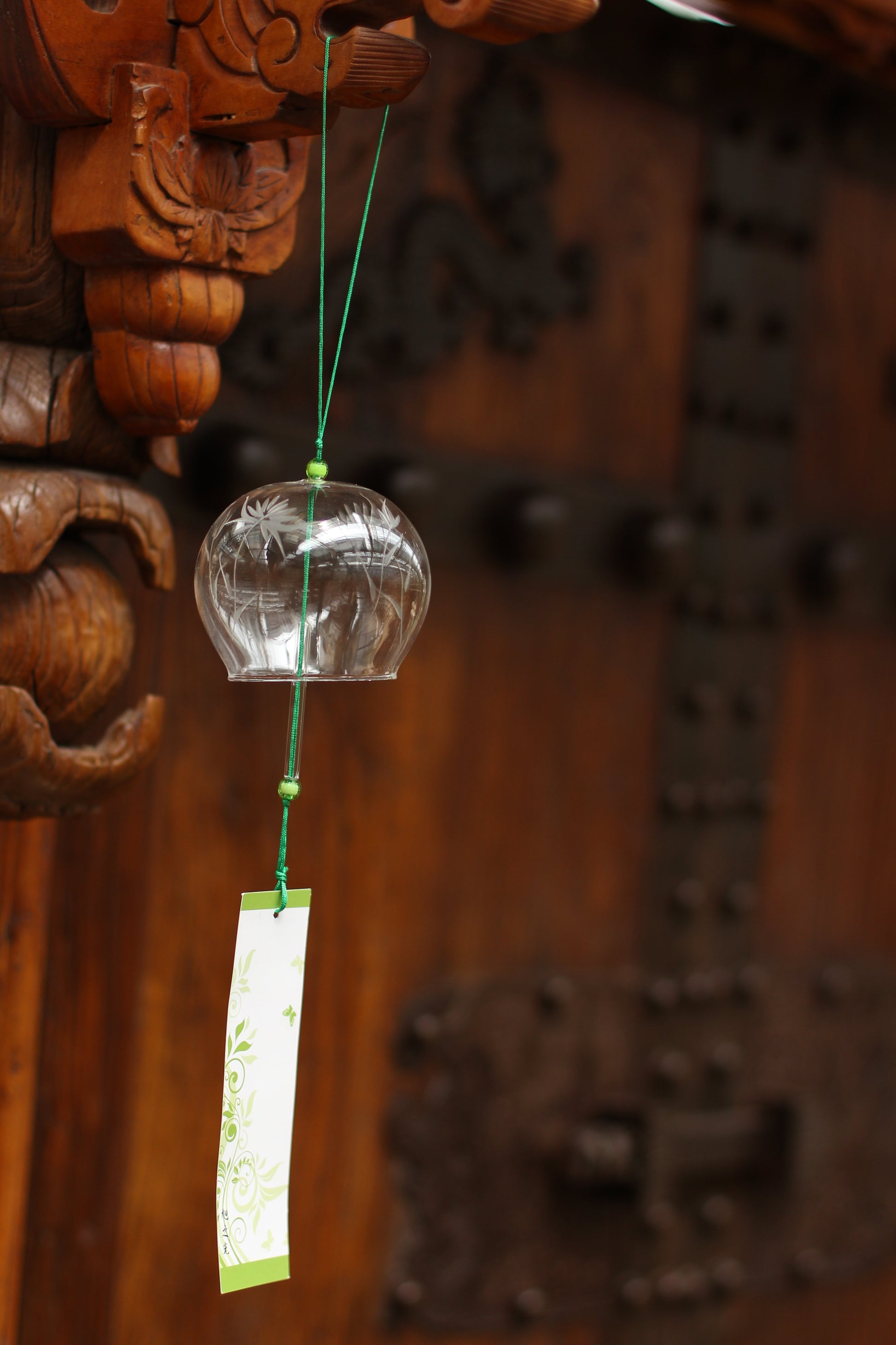 ACEVER_EDO_FURIN_CHRYSANTHEMUM