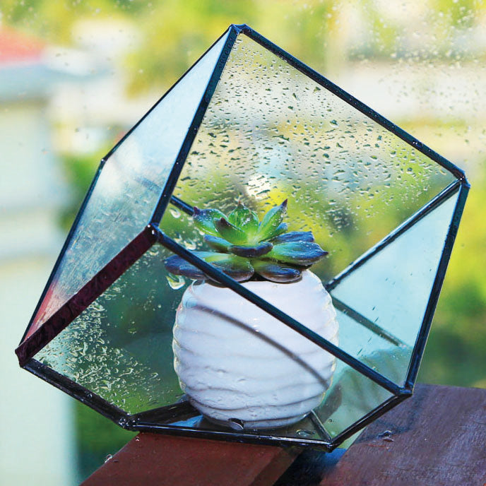 Glass Terrariums