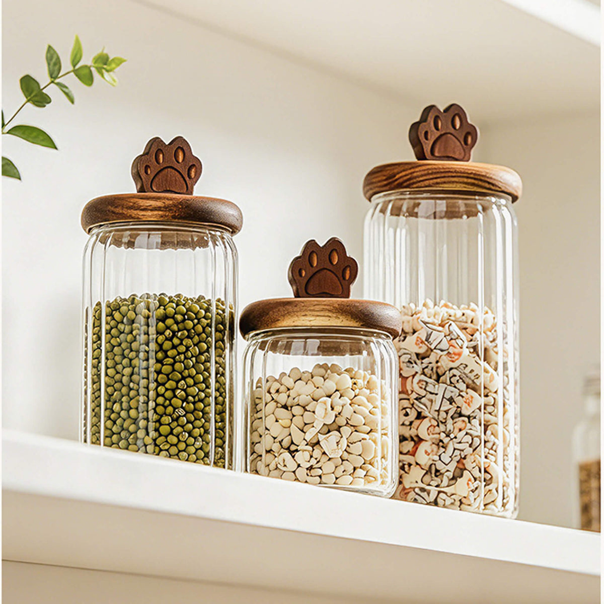Three ribbed glass jars with cat paw lids on white shelf filled with green beans, white beans, and snacks.