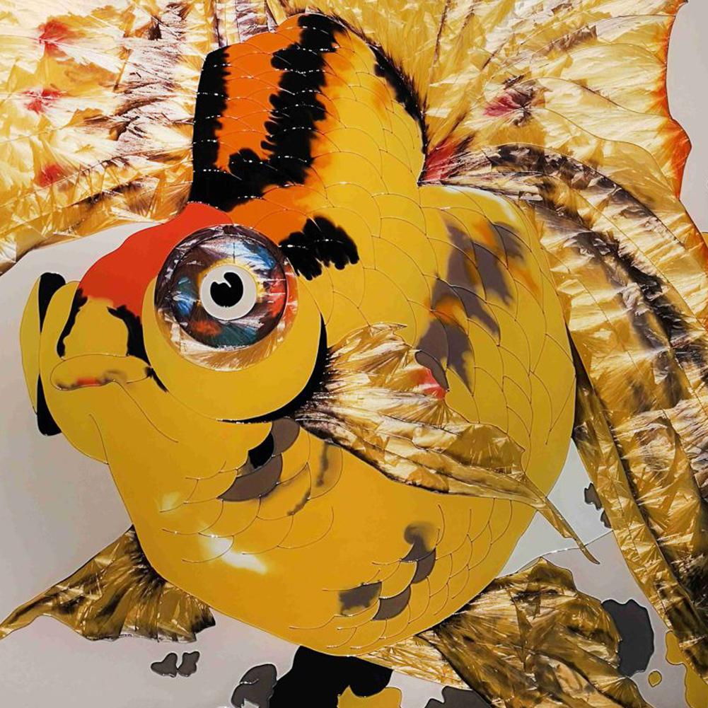 ACEVER_ART_PICTURE_KOI