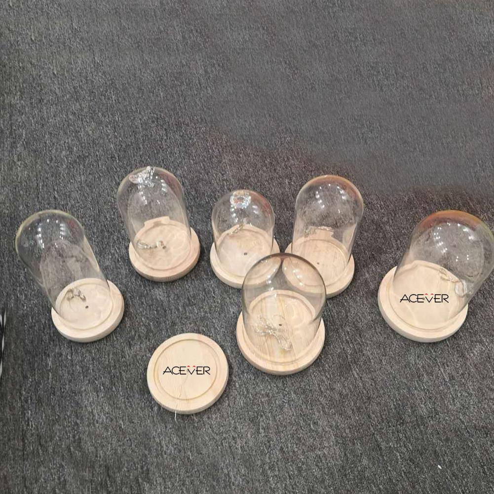 ACEVER_BELL_JAR_DISPLAY