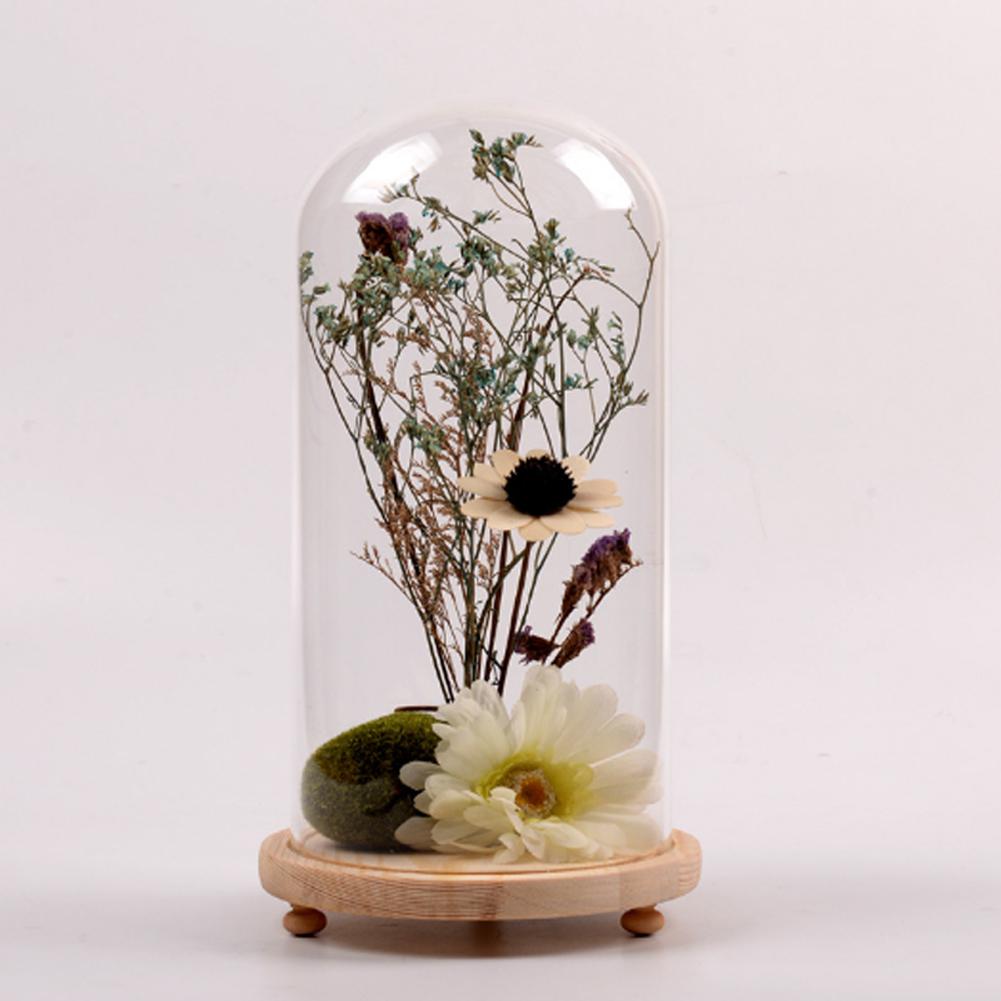 ACEVER_GLASS_CLOCHEDOME