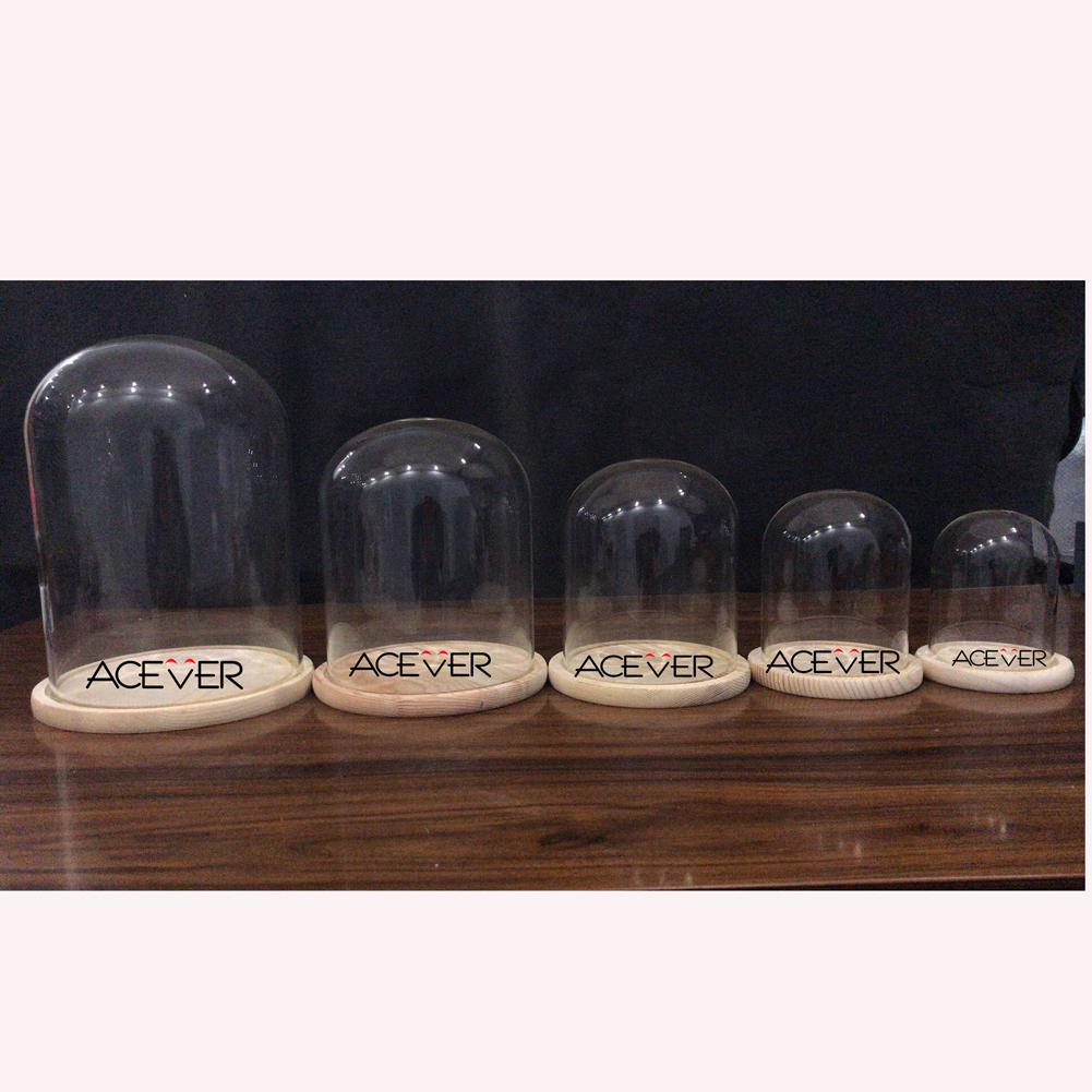 ACEVER_GLASS_CLOCHE_DOME