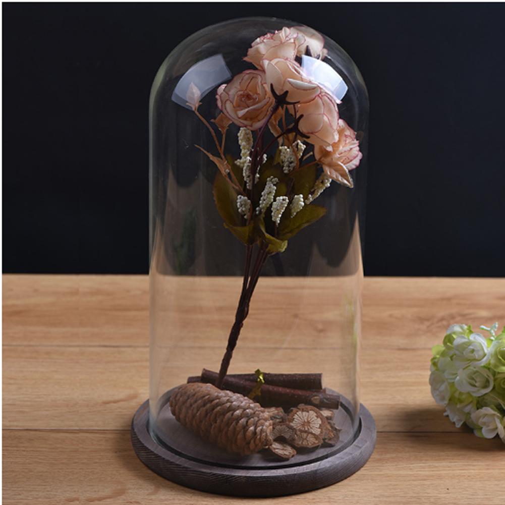 ACEVER_GLASS_DOME_JARS